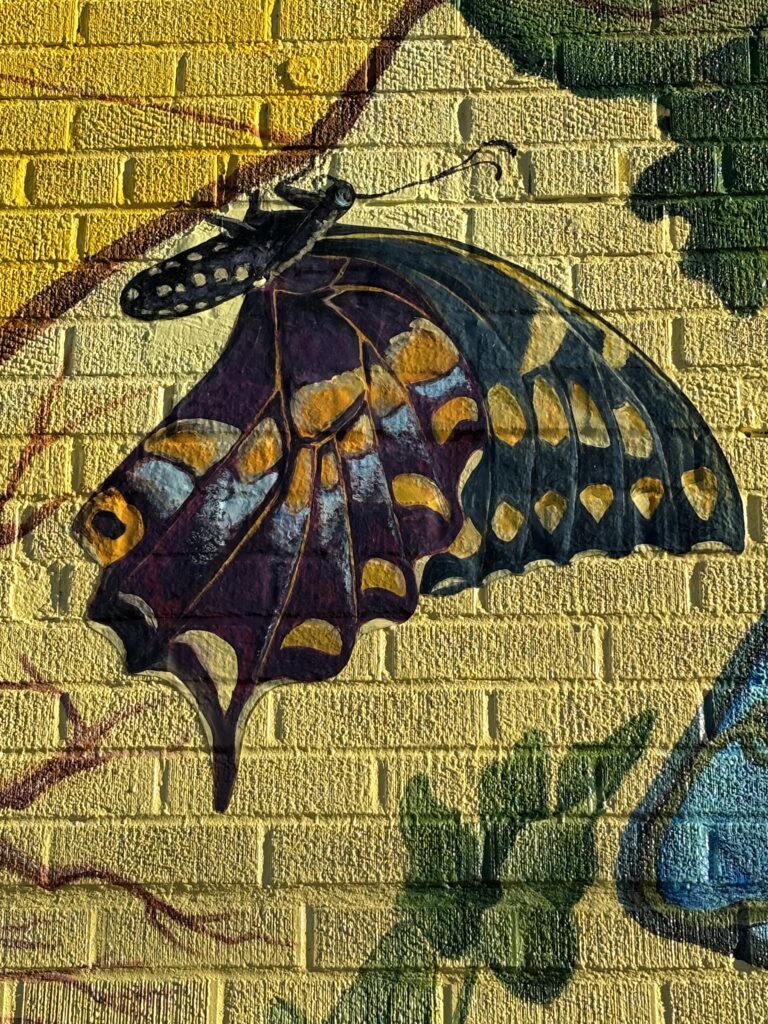 Black swallowtail butterfly on a stem